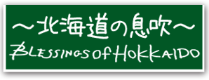 北海道ダイニングキッチン　ロゴ